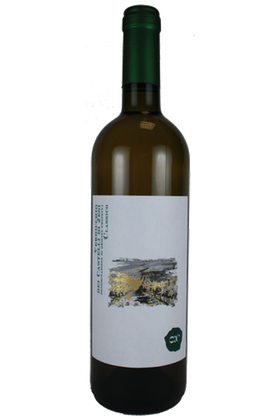 Verdicchio dei Castelli Di Jesi DOP Classico